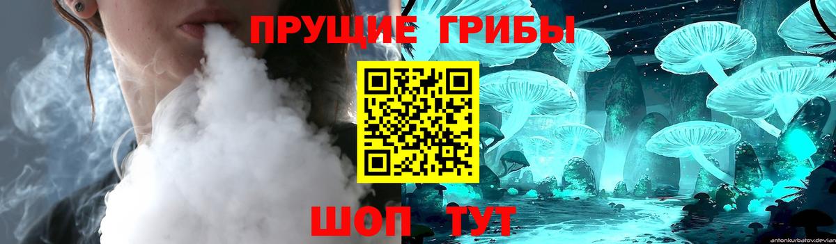 Галлюциногенные грибы прущие грибы  Вход с VPN  закладка  Чернушка 